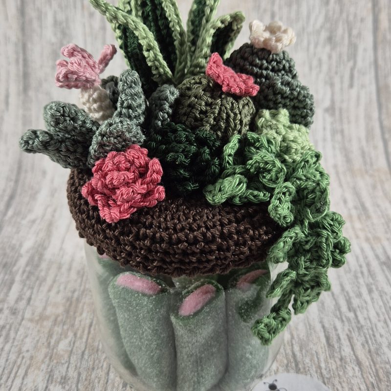Sweet Cactus