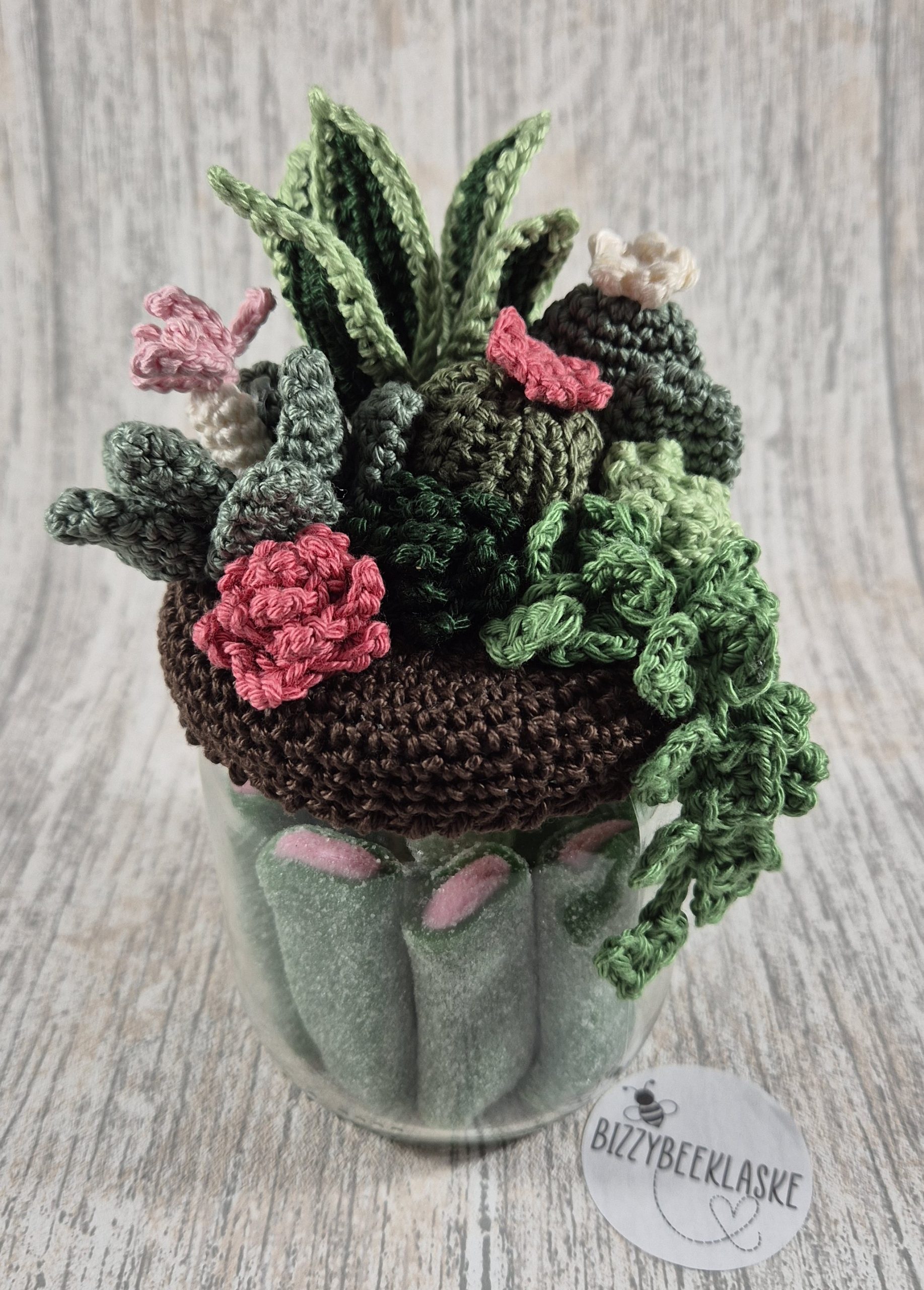 Sweet Cactus